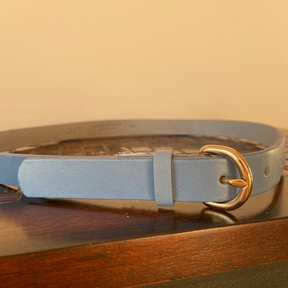 J Crew Leather Belt - Blue